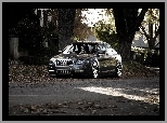 Audi, A6, Drzewa, Liście