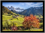 Wochy, Santa Maddalena, Dolina Val di Funes, Gry Dolomity, Wzgrza, Drzewa, Domy
