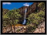 Stany Zjednoczone, Arizona, Skały, Wodospad, Chiva Falls, Drzewa