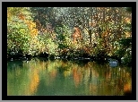Jesień, Jezioro, Drzewa, Kolorowe, Liście, Odbicie