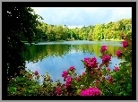 Jezioro, Drzewa, Kwiaty, Park, Wiosna