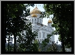 Katedra, Złote, Kopuły, Moskwa, Drzewa