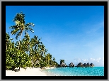 Malediwy, Plaża, Ocean, Palmy, Domki