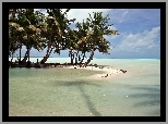 Morze, Laguna, Palmy, Kiribati
