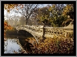 Most, Jesień, Rzeka, Drzewa