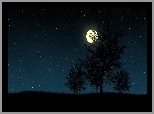 Księżyc, Noc, Drzewa