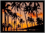 Palmy, Ocean, Zachód, Słońca, Wyspa, Hawaje, USA