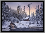 Zima, nieg, Rzeka Tokhmayoki, Most, Drzewa, Drewniany, Domek, Karelia, Rosja