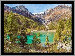 Góry, Las, Drzewa, Jezioro, Palu Lake, Kamienie, Szwajcaria