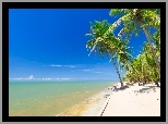 Tajlandia, Plaża, Morze, Palmy, Lato