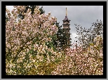 Pagoda, Wieża, Drzewa, Kwiaty, Wiosna