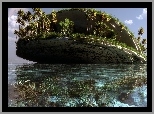 Wyspa, Miczaki, Klontak, Haiti
