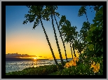 Stany Zjednoczone, Hawaje, Wyspa Maui, Morze, Plaża, Kaanapali Beach, Palmy, Kwiaty, Zachód słońca