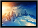 Zima, Wzgórza, Ośnieżone, Drzewa, Zachód, Słońca, Śnieg