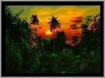 Zachód Słońca, Dżungla, Palmy