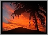 Zachód słońca, Góra, Palma