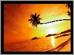 Zachód Słońca, Morze, Palmy