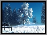 Zima, Drzewa, Ławka, Art