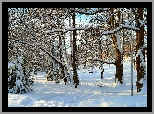 Zima, nieg, Park, Onieone, Drzewa