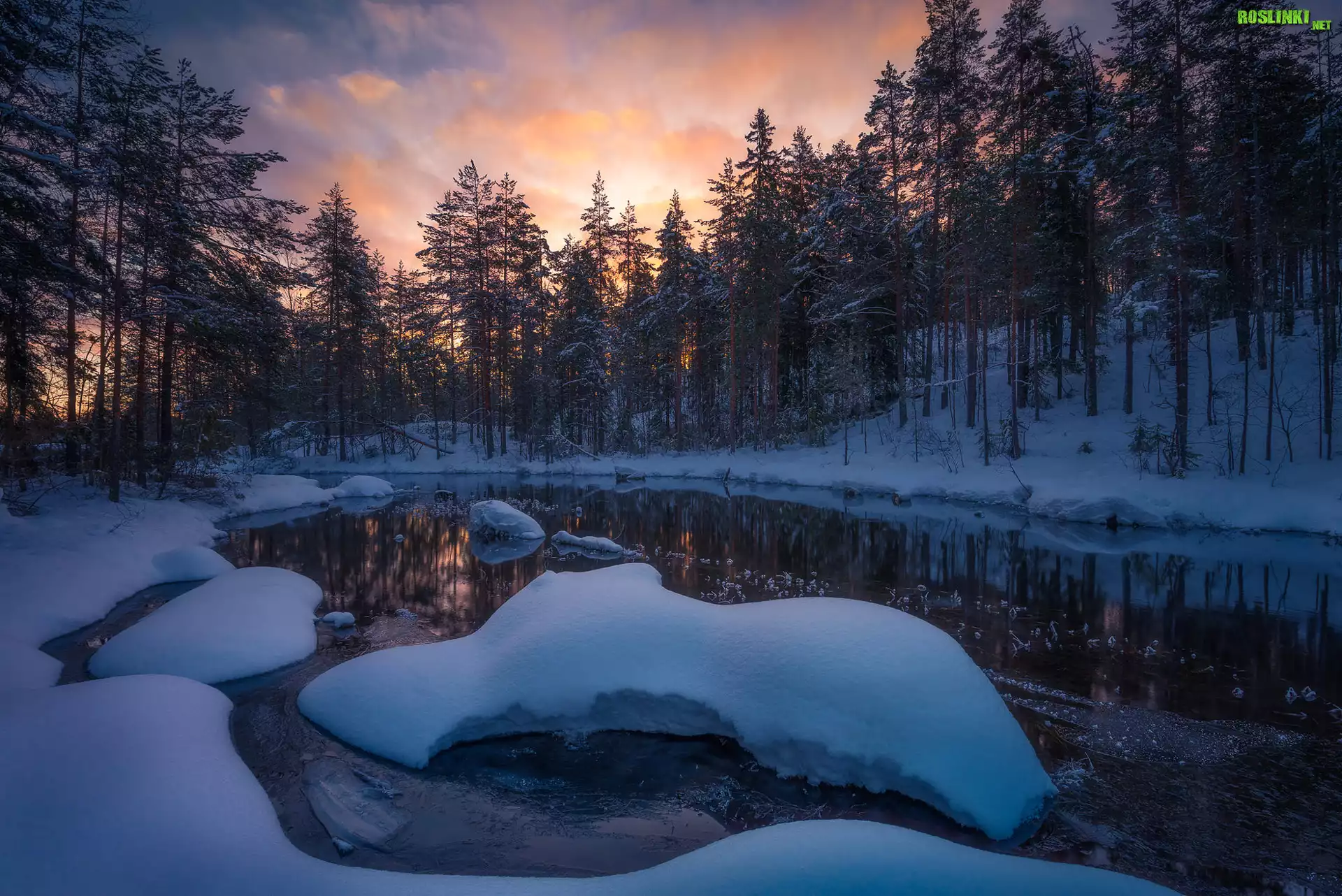 Norwegia, Gmina Ringerike, Drzewa, Jezioro, Zima, ¦nieg