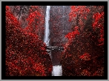 Wodospad, Multnomah Falls, Drzewa, Most, Stan Oregon, Stany Zjednoczone