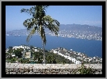 Acapulco, Meksyk, Palma, Woda