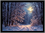 Zima, Ośnieżona, Droga, Drzewa, Las, Księżyc, Grafika AI