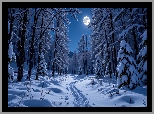 Zima, Droga, Ośnieżone, Drzewa, Noc, Księżyc, Grafika AI