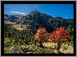 Góry, Pireneje, Jesień, Lasy, Kolorowe, Drzewa, Krzewy, Escaldes-Engordany, Andora