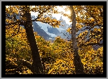 Argentyna, Patagonia, Góra, Fitz Roy, Jesień, Drzewa, Promienie słońca