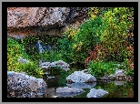 West Fork Oak Creek, Drzewa, Rzeka, Skały, Kamienie, Sedona, Arizona, Stany Zjednoczone