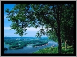 Australia, Queensland, Rezerwat, Drzewo