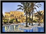 Hotel, Basen, Palmy
