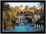 Hotel, Basen, Palmy