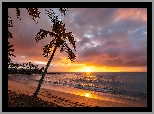 Zachód słońca, Chmury, Morze, Plaża, Napili Beach, Palmy, Wyspa, Maui, Hawaje