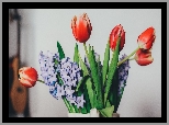 Tulipany, Bez, Kwiaty