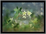 Białe, Kwiaty, Liście, Bokeh, Wazonik
