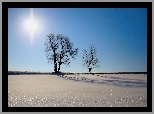 Błyszczący, Śnieg, Słońce, W, Zenicie
