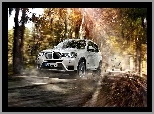 Bmw X3, Droga, Drzewa