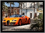 Bugatti Veyron Vitesse, Ulica, Palmy
