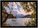 Chile, Patagonia, Park Narodowy Torres del Paine, Góry, Jezioro, Drzewa