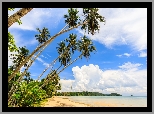 Morze, Palmy, Plaża, Wyspa Ko Mak, Prowincja Trat, Tajlandia, Chmury