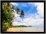 Wyspa Ko Mak, Prowincja Trat, Tajlandia, Morze, Palmy, Plaża, Chmury