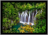 Park Narodowy Jezior Plitwickich, Wodospad, Lasy, Drzewa, Chorwacja