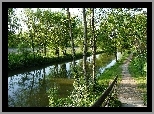 Rzeka, Ścieżka, Drzewa