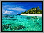 Wyspy Cooka, Atol Aitutaki, Ocean, Morze, Plaża, Palmy