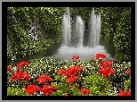 Czerwone, Kwiaty, Wodospad, Las