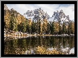 Jezioro, Antorno Lake, Góry, Dolomity, Masyw Tre Cime di Lavaredo, Drzewa, Prowincja Belluno, Włochy
