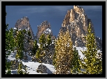 Góry, Dolomity, Sassolungo Langkofel, Skały, Drzewa, Śnieg, Włochy