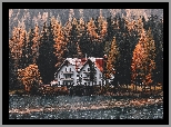 Dom, Las, Drzewa, Jezioro
